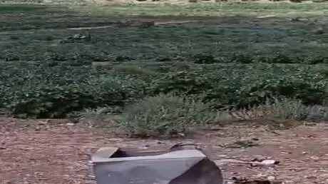 سوريا.. إتلاف محاصيل تروى من الصرف الصحي في درعا و...