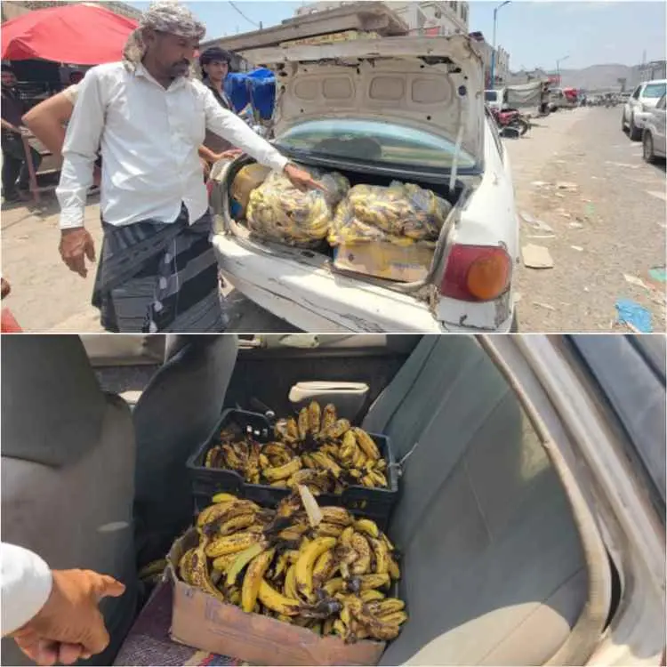 صندوق النظافة بحالمين يضبط كميةً من الموز التالف ب...