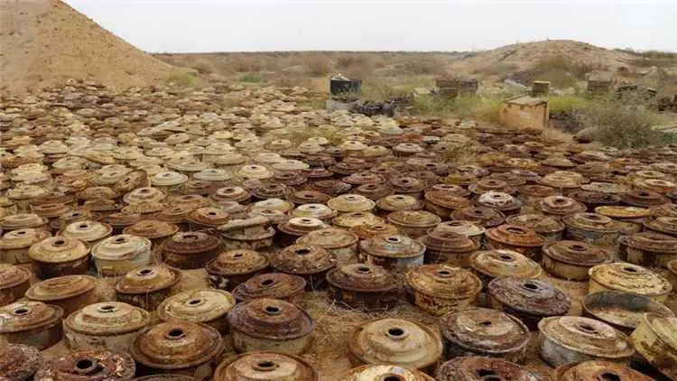 مركز المخا: ألغام الحوثيين تقتل وتصيب نحو 12 ألف م...