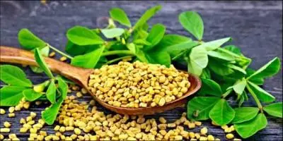 ماذا يحدث لسكر الدم عند تناول الحلبة يومياً؟