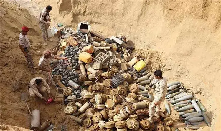 ألغام الحوثيين تهدد الثروة الحيوانية وتفاقم معاناة...