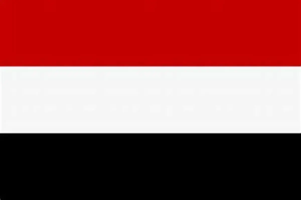 اليمن يستنفر جيبوتي وموريتانيا ضد تهديدات الحوثيين...