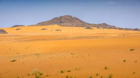 أدوات حجرية تكشف عن وجود إنسان نياندرتال في صحراء...