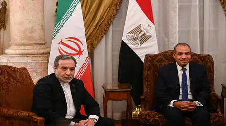 عراقجي يبحث مع عبد العاطي الجهود المبذولة لتحقيق ا...