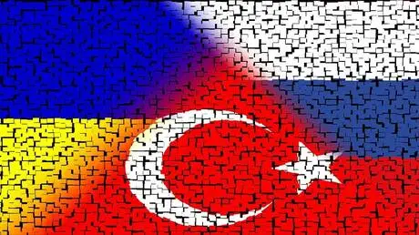 "نوفوستي": تركيا تتطلع لاستئناف المفاوضات بشأن أوك...