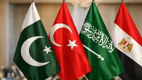 ماذا لو انضمت مصر؟.. خبيرة تكشف لـ RT السيناريو ال...