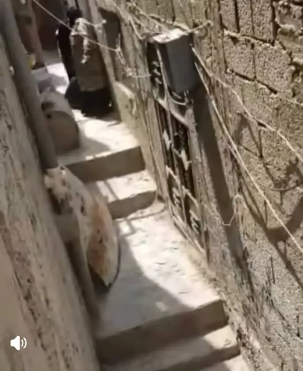 رجل يستعين بالشرطة النسائية لطرد والدته من المنزل...