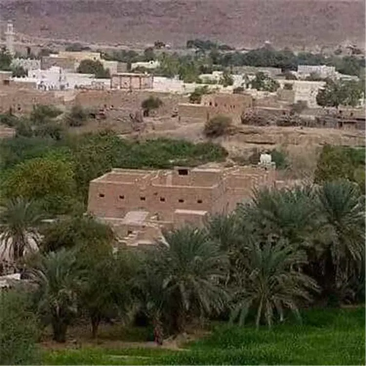 لقاء يناقش اوضاع مديرية السوم في حضرموت