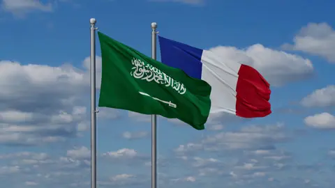 السعودية وفرنسا تؤكدان دعم مجلس القيادة الرئاسي وح...