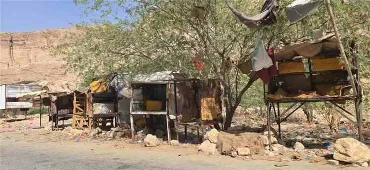 ناشط ينتقد منع بيع القات في الخريبة والرباط والسما...