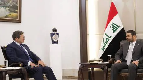 جدار معلوماتي وأمني والتصدي لأجندات خارجية.. خبير...