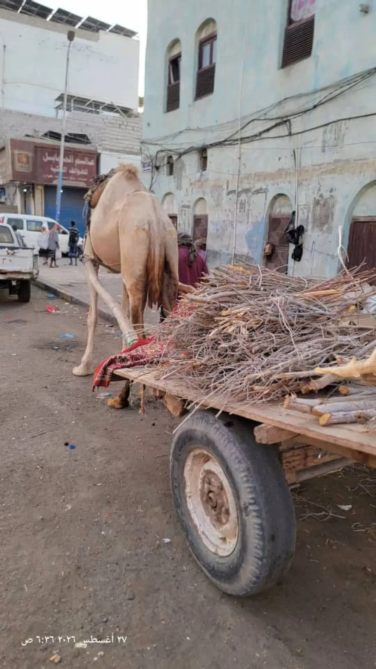 عودة نشاط بائعي الحطب في العاصمة عدن بسبب أزمة الغ...