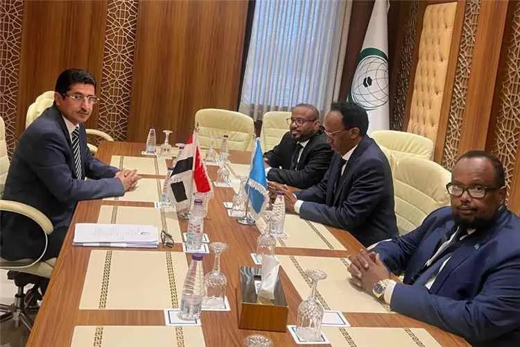 وكيل وزارة الخارجية يبحث مع نائب وزير الخارجية الص...