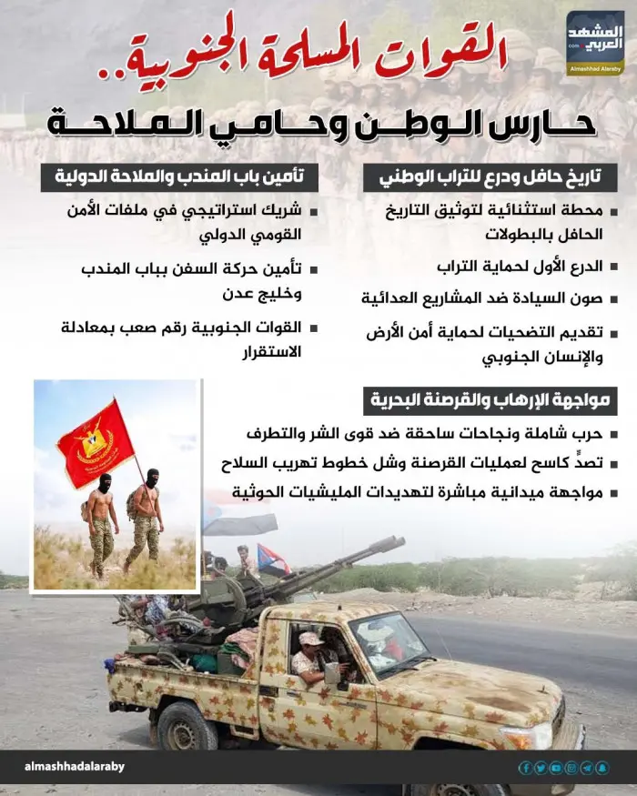 القوات المسلحة الجنوبية.. حارس الوطن وحامي الملاحة (إنفوجراف)