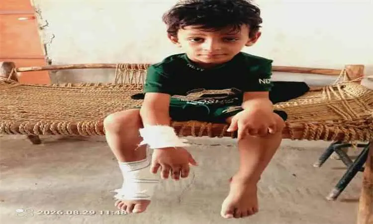 الحديدة.. إصابة طفل بقصف حوثي استهدف منزل أسرته في...
