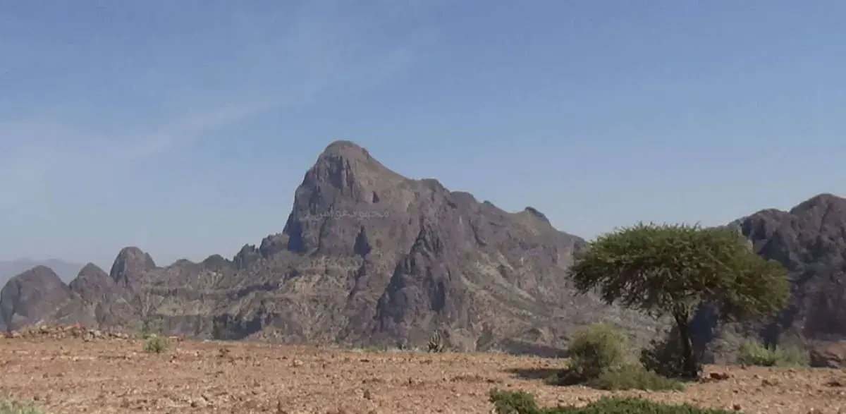 مصرع طفل إثر سقوطه من جبل أثناء رعي الأغنام بالضال...