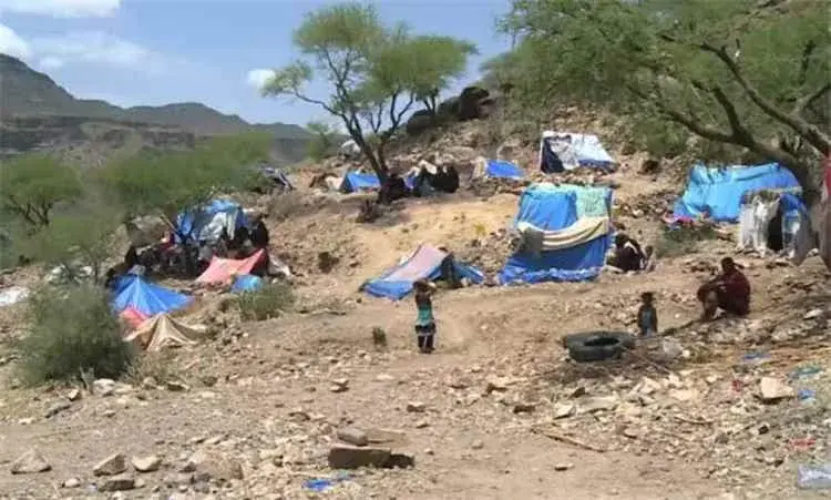 تصعيد حوثي يجبر 227 أسرة على النزوح مجددًا غربي تعز