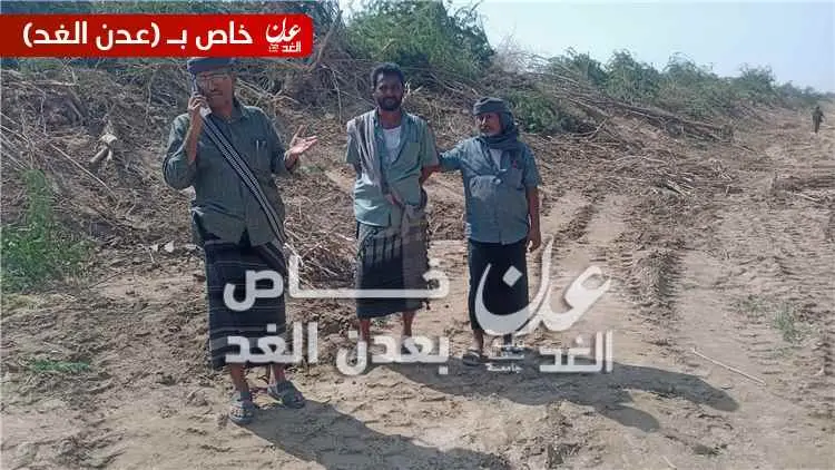 مدير عام أحور يتفقد أعمال إزالة الترسبات والأشجار...