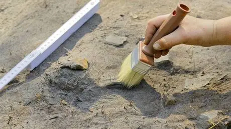 عمرها 280 ألف عام.. العثور على قطع أثرية حجرية في...