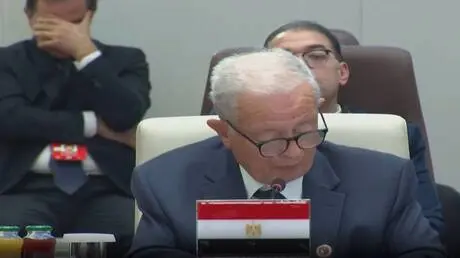 مصر تطالب بإصلاح مجلس الأمن وفقا لمتطلبات الدول ال...