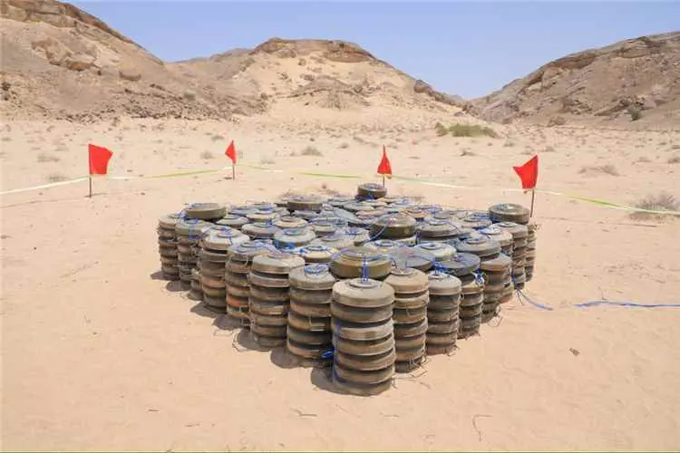 قائد محور الغيضة اللواء مخبال يتفقد جاهزية اللواء 123 مشاة في مديرية حات بالمهرة ويشرف على إتلاف 429 لغما