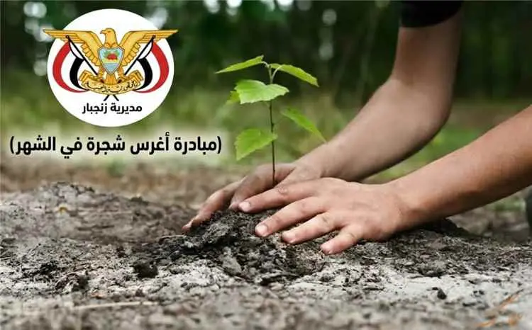 السلطة المحلية بزنجبار تطلق مبادرة «اغرس شجرة في ا...