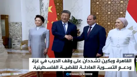 مصر والصين تؤكدان دعم التهدئة بالمنطقة
