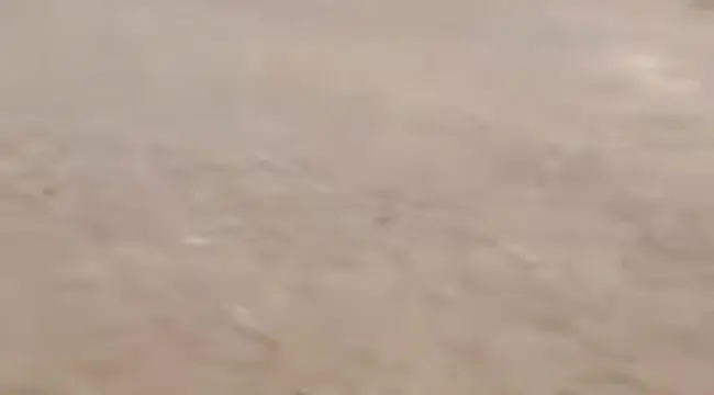 أبين على فوهة العطش: فوضى مياه السيول تدفع الدلتا للاقتتال