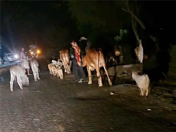 وزير حقوق الإنسان: استهداف المدنيين في تعز جرائم تستوجب المساءلة