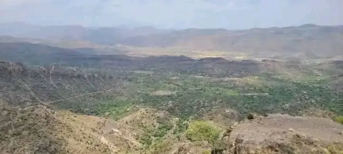 بعد معارك عنيفة مع عصابة الحوثي:  القوات الحكومية...