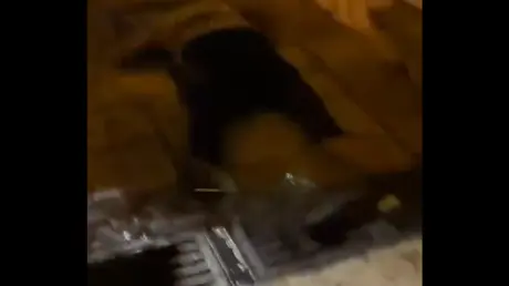 الشرطة الإسرائيلية تقتل فلسطينيا بالقدس بزعم محاول...