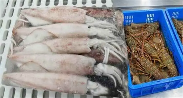 ثروات اليمن الزرقاء..كيف نحميها وننميها؟