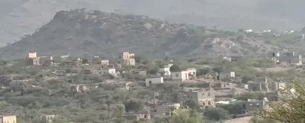 القوات الحكومية تتقدم غرب تعز.. ومعارك مستمرة في جبل الشيخ سعيد وجبل حبشي