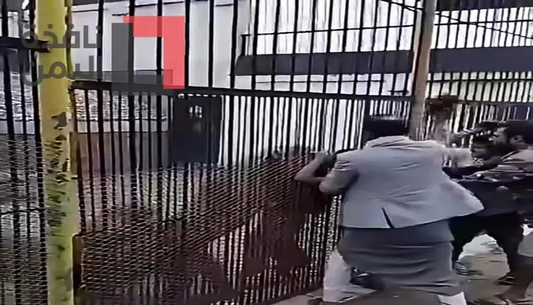 نمر يفترس ذراع طفل ويبترها داخل حديقة حيوان صنعاء....