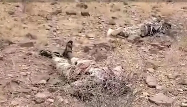 العثور على جثث لعناصر من حركة الشباب الصومالية الإ...