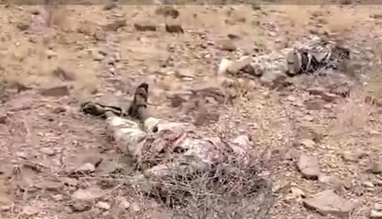 المقاومة الوطنية : العثور على جثـ,ـث لعناصر من "حركة الشباب" الصومالية بين قـ,ـتلى مليشـ,ـيا الحـ,ـوثي بالساحل الغربي