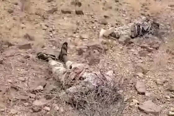 صوماليون بين قتلى الحوثيين في الساحل الغربي 