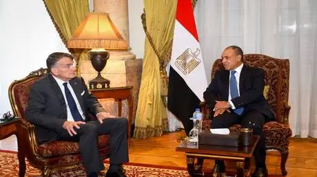 معركة الشرعية الدولية.. مصر تواجه مخططات تفكيك الأ...