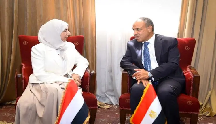 مباحثات يمنية - مصرية حول أمن البحر الأحمر وباب المندب في ظل التصعيد الحوثي