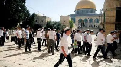 181 مستوطناً يقتحمون باحات المسجد الأقصى