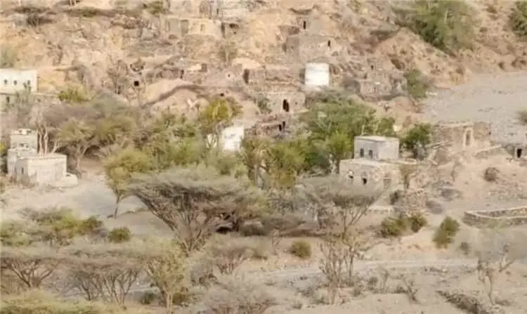 جريمة جديدة.. قصف حوثي يستهدف رعاة الأغنام في المس...