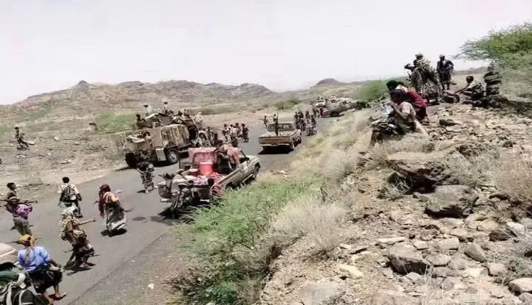 تقدم الحوثي في الوازعية ينتهي بمصرع العشرات منهم وأسر قائد الهجوم.. تفاصيل