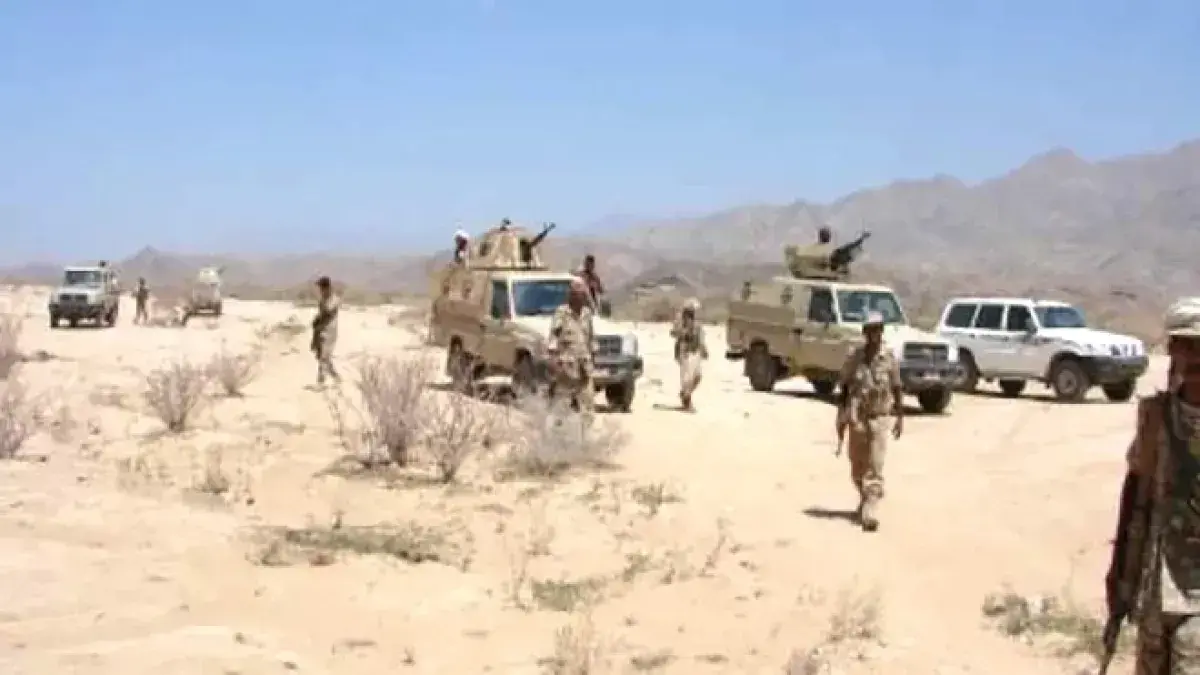 تقدم حكومي على عدة جبهات.. مكاسب ميدانية جديدة في الجوف والبيضاء وتعز والساحل الغربي