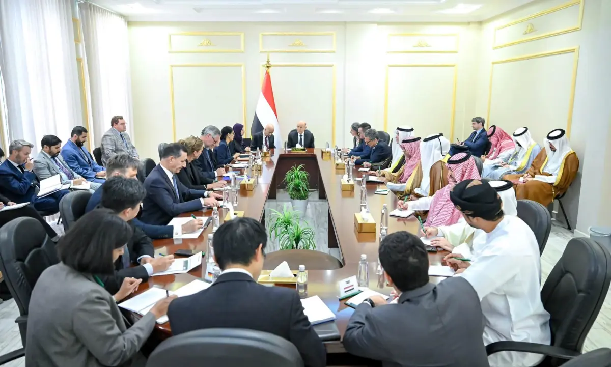 رئيس مجلس القيادة: المليشيات الحوثية اختارت الحرب وعليها تحمل نتائجها