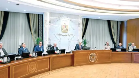 الحكومة المصرية تصدر بيانا بشأن مستشاريها بعد أزمة...
