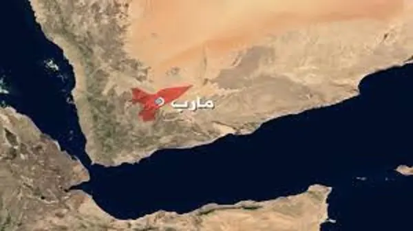 ورد الآن.. تفاصيل الاشتباكات المسلحة التي شهدتها م...