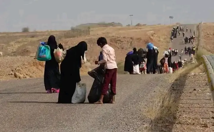 76 ألف يمني نزحوا منذ يوليو الماضي بسبب حرب الحوثيين