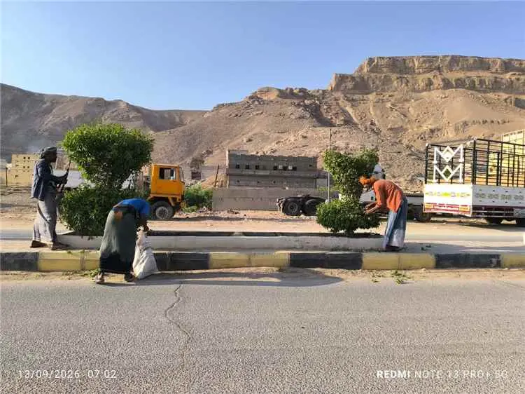 جهود مستمرة لتحسين المظهر العام بمديرية القطن