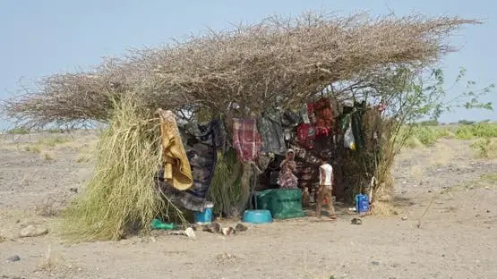 مقتل وإصابة 350 مدنيا بهجمات الحوثي غرب اليمن.. بي...