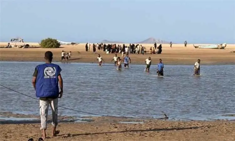 الهجرة الدولية: تصاعد القتال يدفع أكثر من ألفي يمن...